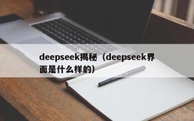 deepseek揭秘（deepseek界面是什么样的）