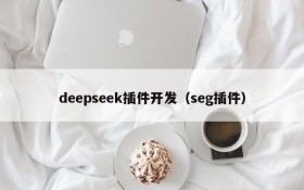 deepseek插件开发(seg插件)
