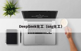 DeepSeek化工（seg化工）