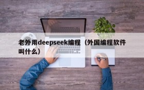 老外用deepseek编程(外国编程软件叫什么)