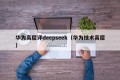 华为高层评deepseek（华为技术高层）