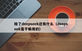 除了deepseek还有什么（deepseek是干嘛用的）