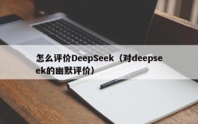 怎么评价DeepSeek（对deepseek的幽默评价）