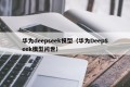 华为deepseek模型（华为DeepSeek模型问世）
