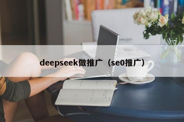 deepseek做推广（se0推广）