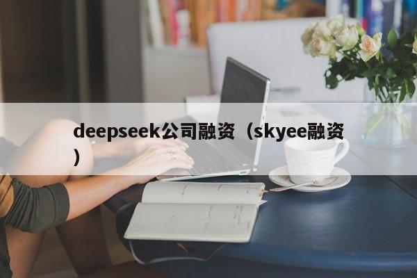 deepseek公司融资（skyee融资）