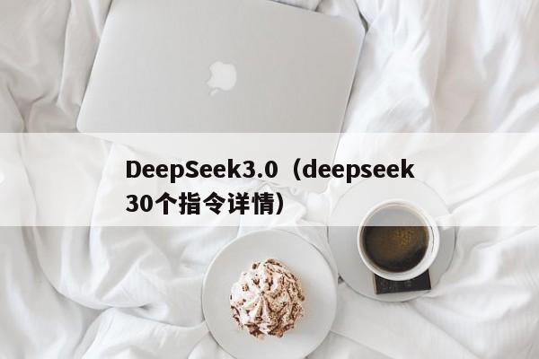 DeepSeek3.0（deepseek30个指令详情）