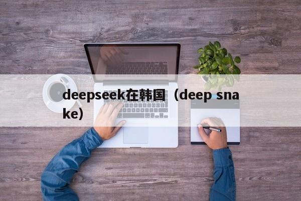 deepseek在韩国（deep snake）