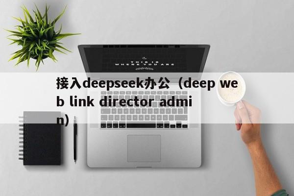 接入deepseek办公（deep web link director admin）