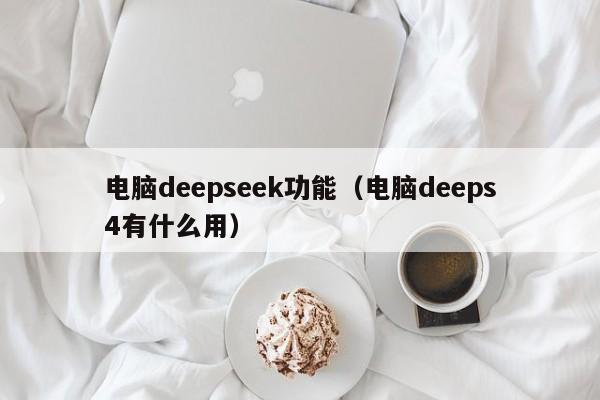 电脑deepseek功能（电脑deeps4有什么用）