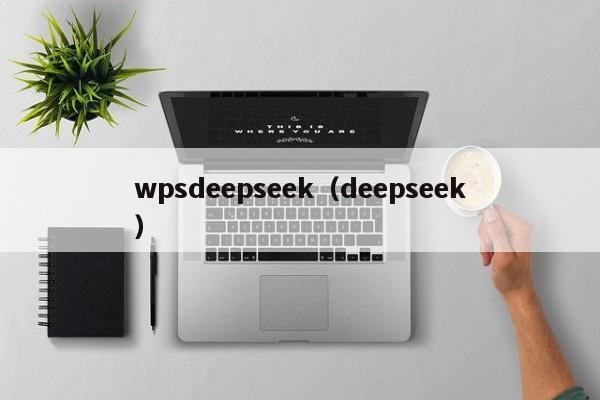 wpsdeepseek（deepseek）