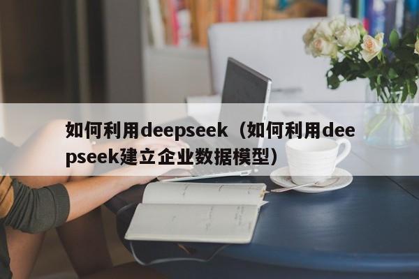 如何利用deepseek（如何利用deepseek建立企业数据模型）