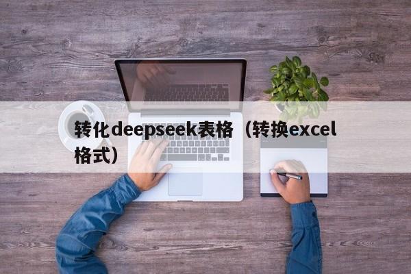 转化deepseek表格（转换excel格式）