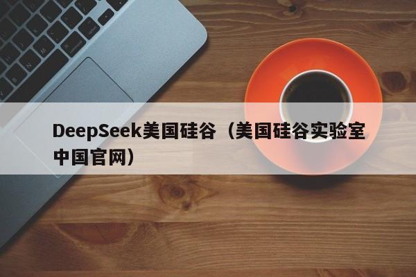 DeepSeek美国硅谷（美国硅谷实验室中国官网）