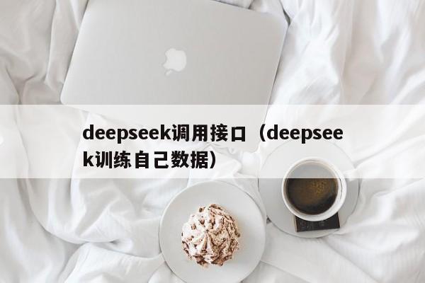 deepseek调用接口（deepseek训练自己数据）