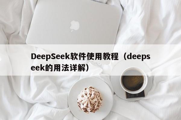 DeepSeek软件使用教程（deepseek的用法详解）