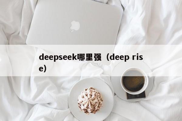 deepseek哪里强（deep rise）