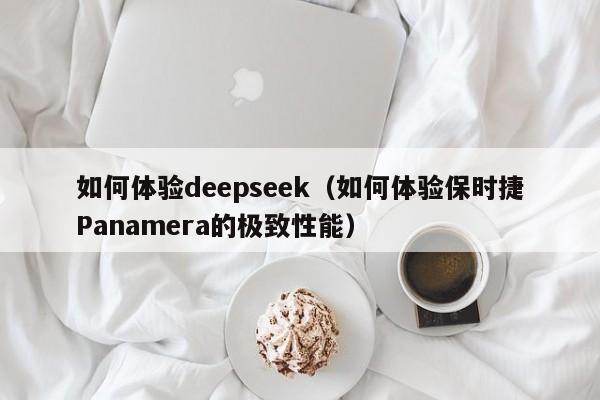 如何体验deepseek（如何体验保时捷Panamera的极致性能）