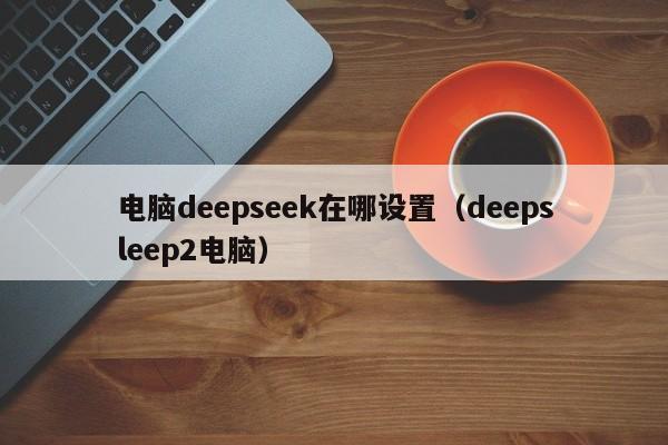 电脑deepseek在哪设置（deepsleep2电脑）