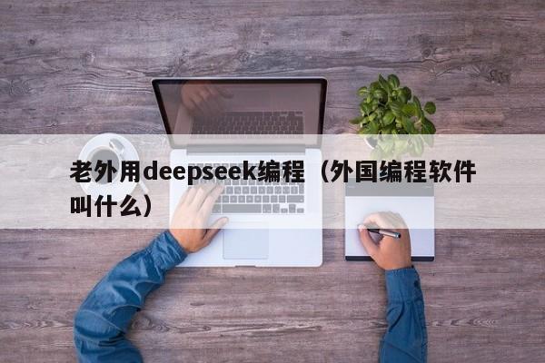 老外用deepseek编程（外国编程软件叫什么）