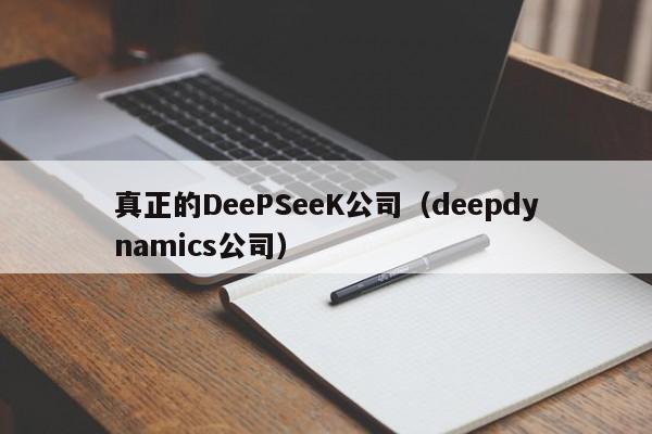 真正的DeePSeeK公司（deepdynamics公司）