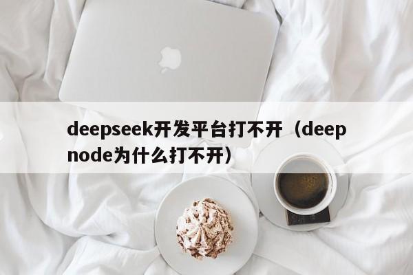 deepseek开发平台打不开（deepnode为什么打不开）