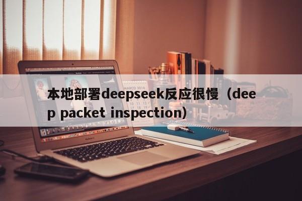 本地部署deepseek反应很慢（deep packet inspection）