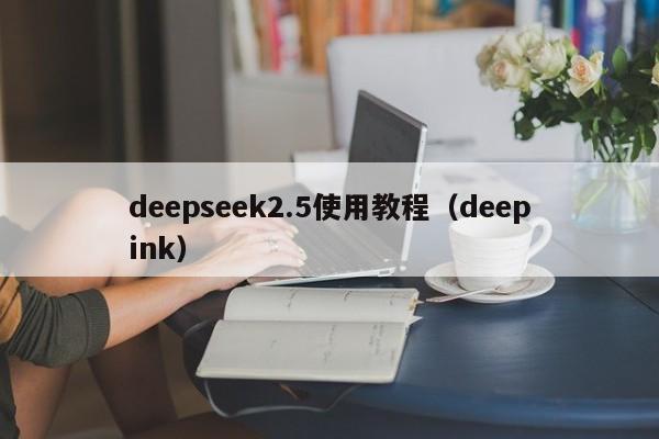 deepseek2.5使用教程（deepink）