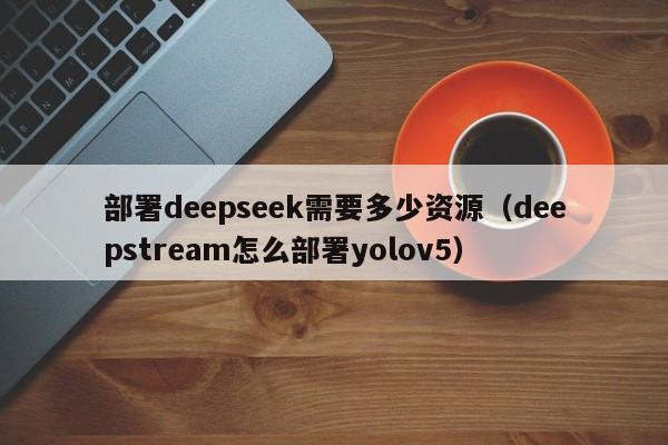 部署deepseek需要多少资源（deepstream怎么部署yolov5）