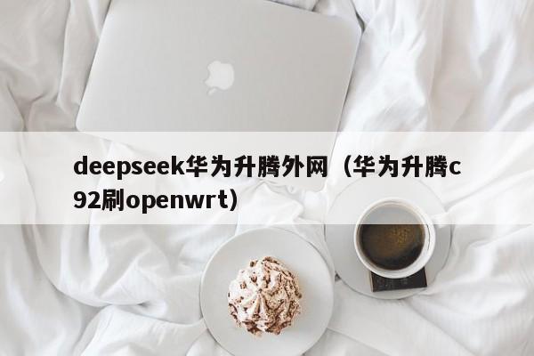 deepseek华为升腾外网（华为升腾c92刷openwrt）