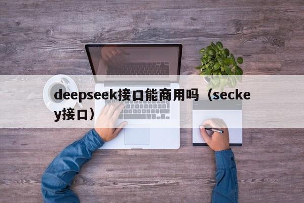 deepseek接口能商用吗（seckey接口）