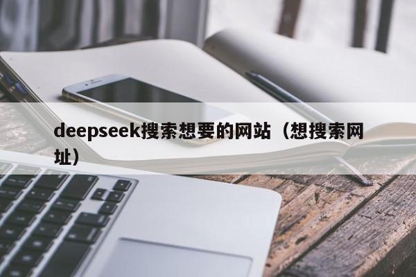 deepseek搜索想要的网站（想搜索网址）