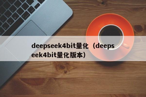 deepseek4bit量化（deepseek4bit量化版本）