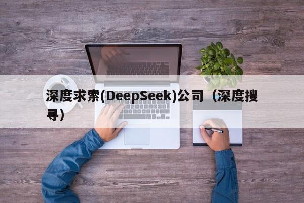 深度求索(DeepSeek)公司（深度搜寻）