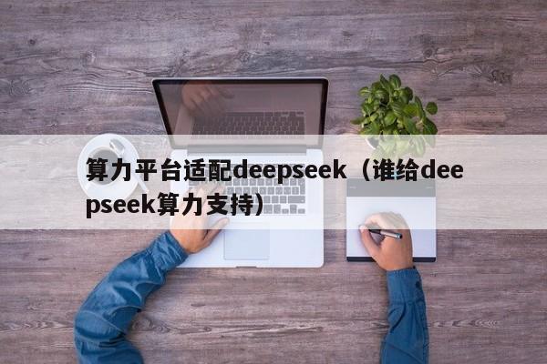 算力平台适配deepseek（谁给deepseek算力支持）