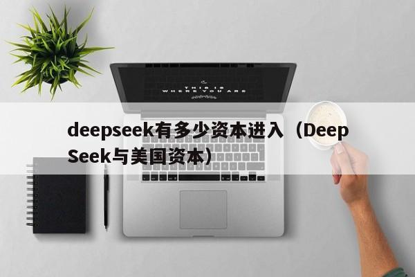 deepseek有多少资本进入（DeepSeek与美国资本）