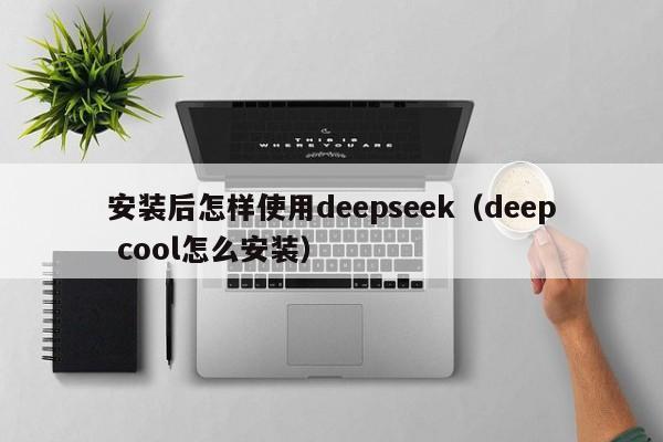 安装后怎样使用deepseek（deep cool怎么安装）