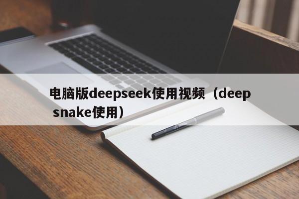 电脑版deepseek使用视频（deep snake使用）