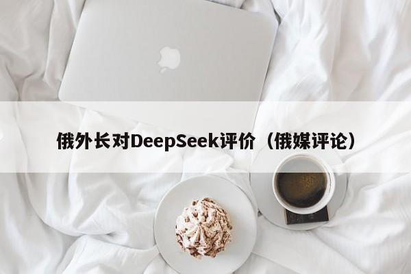 俄外长对DeepSeek评价（俄媒评论）