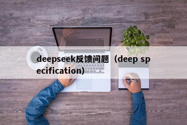 deepseek反馈问题（deep specification）
