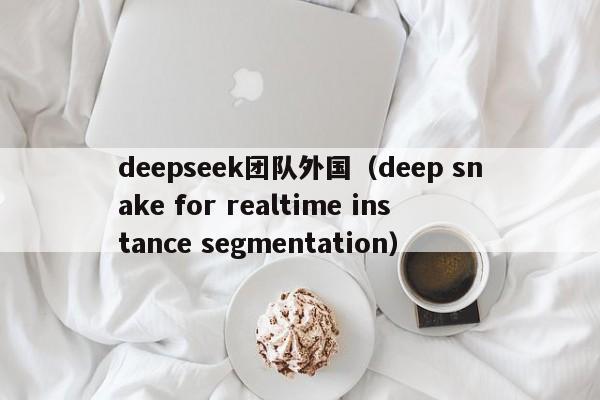 deepseek团队外国（deep snake for realtime instance segmentation）