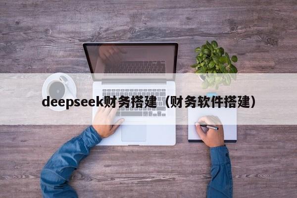 deepseek财务搭建（财务软件搭建）