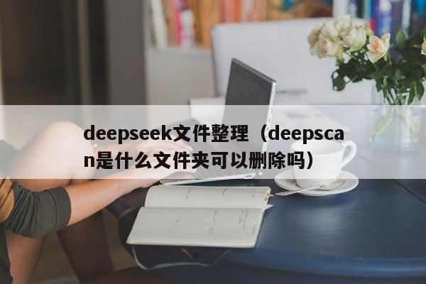 deepseek文件整理（deepscan是什么文件夹可以删除吗）
